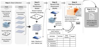 Participatory Risk Assessment of Humpback Whale (Megaptera novaeangliae) and Leatherback Turtle (Dermochelys coriacea) Bycatch in Northern Peru